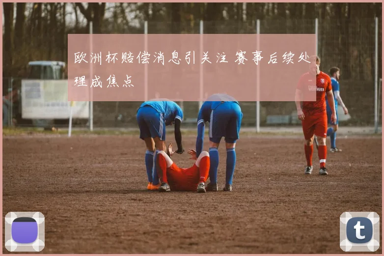 欧洲杯赔偿消息引关注 赛事后续处理成焦点