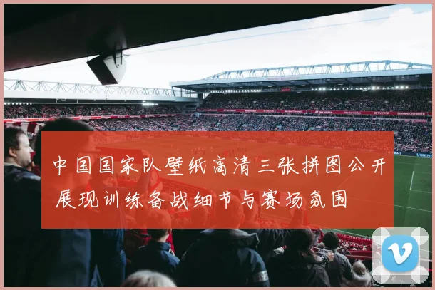 中国国家队壁纸高清三张拼图公开 展现训练备战细节与赛场氛围